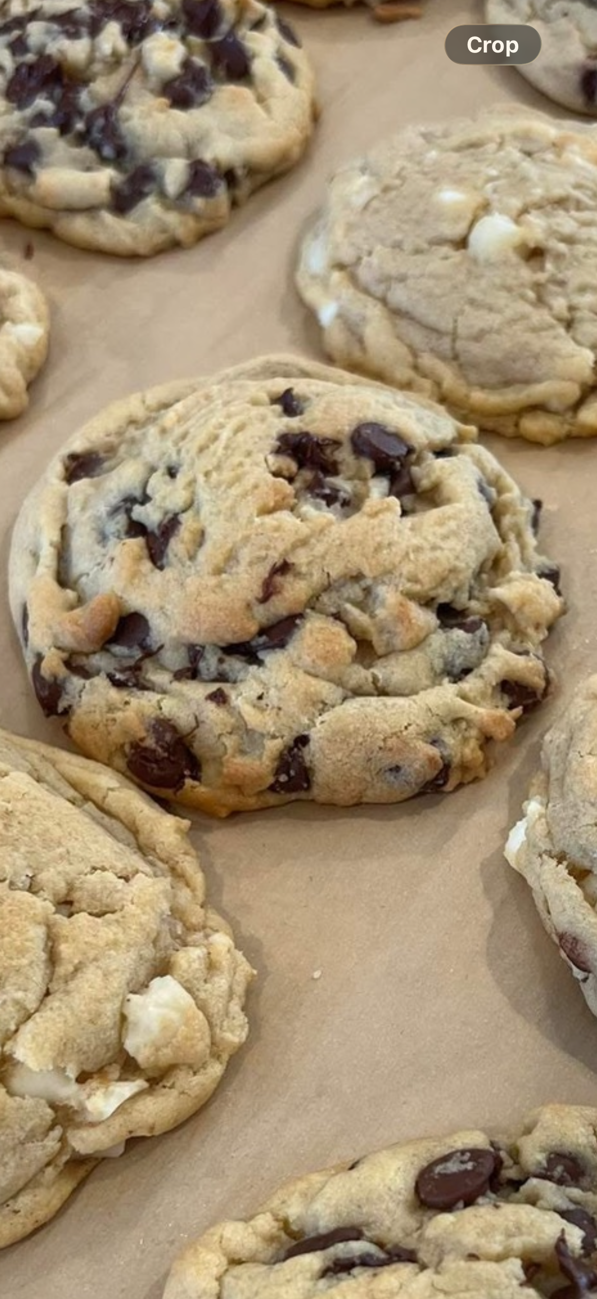Chocolate chip